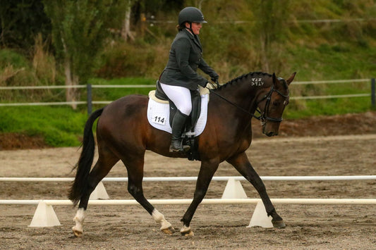 My Top Picks For Dressage Bits