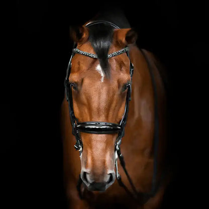 Audrey Double Bridle