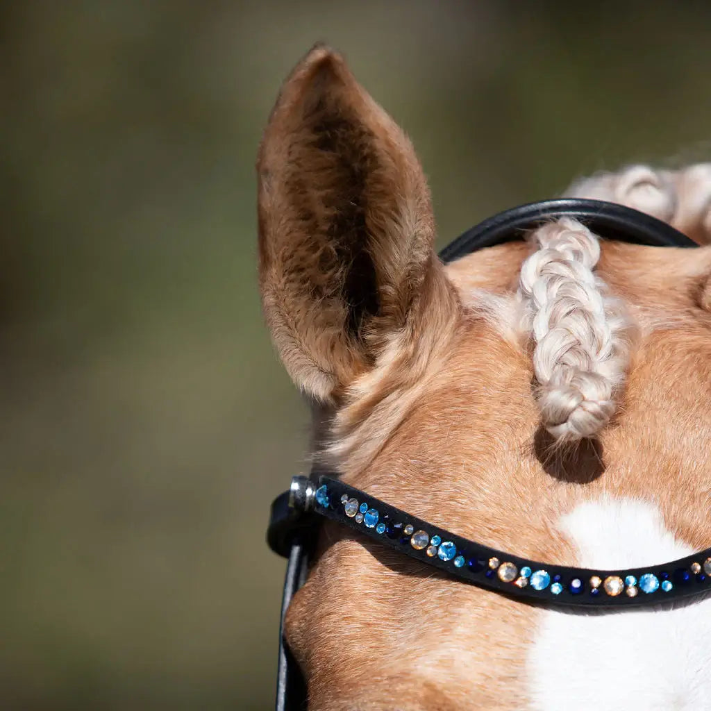 Demi Hanoverian Bridle