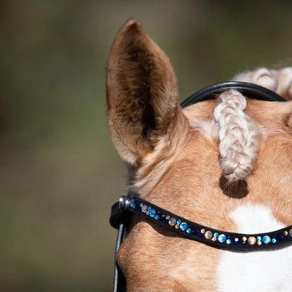 Demi Hanoverian Bridle