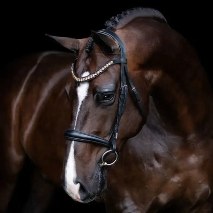 Athens Cavesson Snaffle Bridle