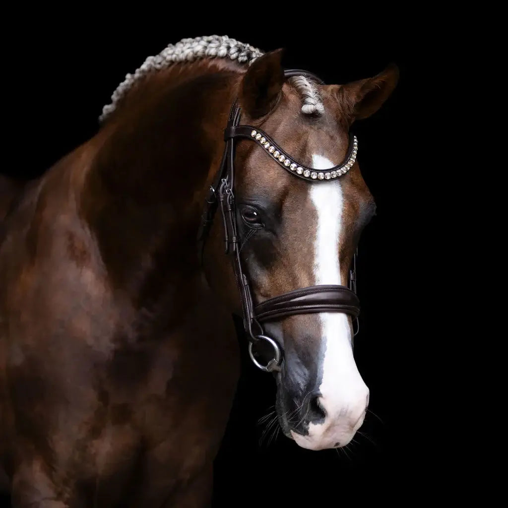 Athens Cavesson Snaffle Bridle