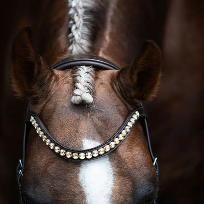 Athens Cavesson Snaffle Bridle