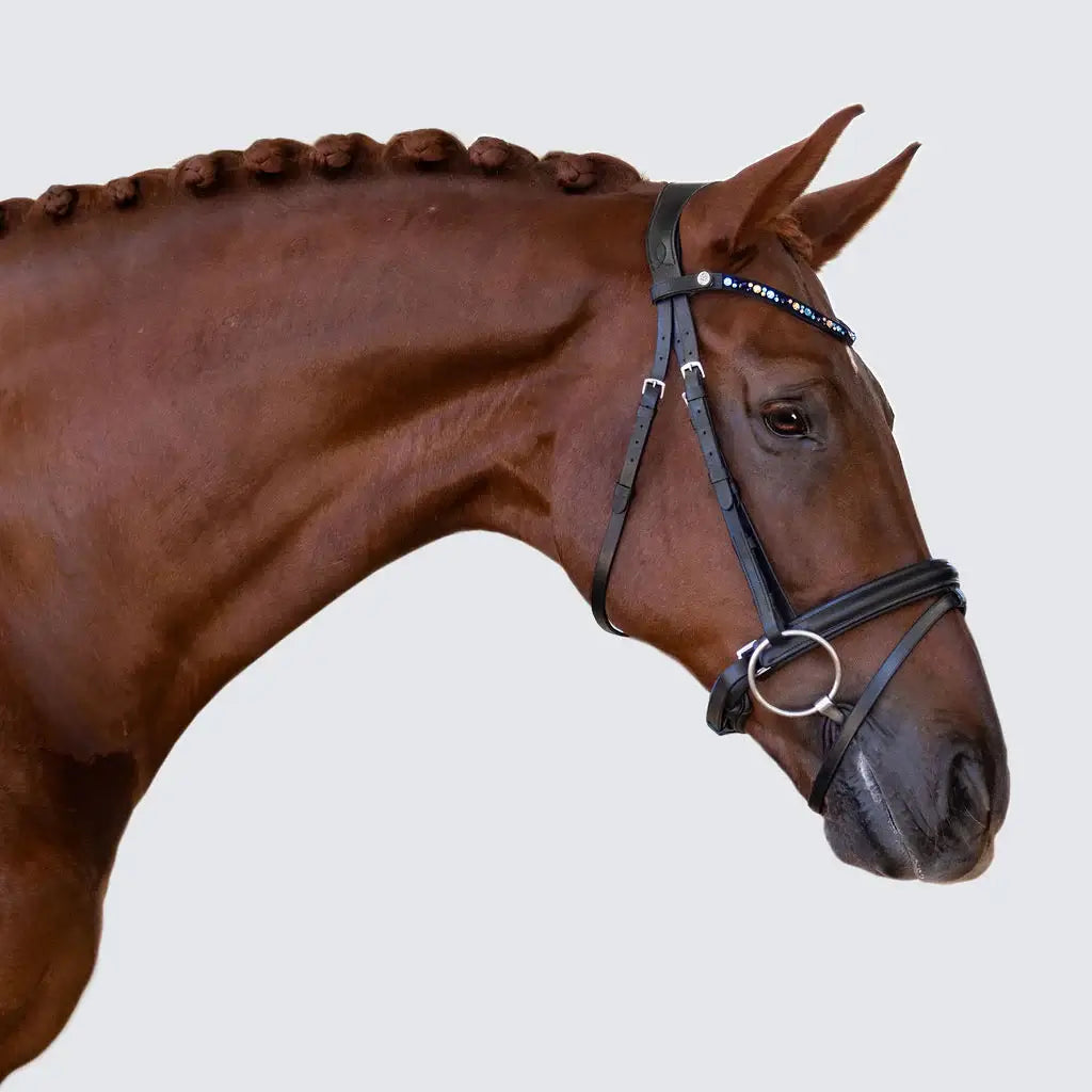 Demi Hanoverian Bridle