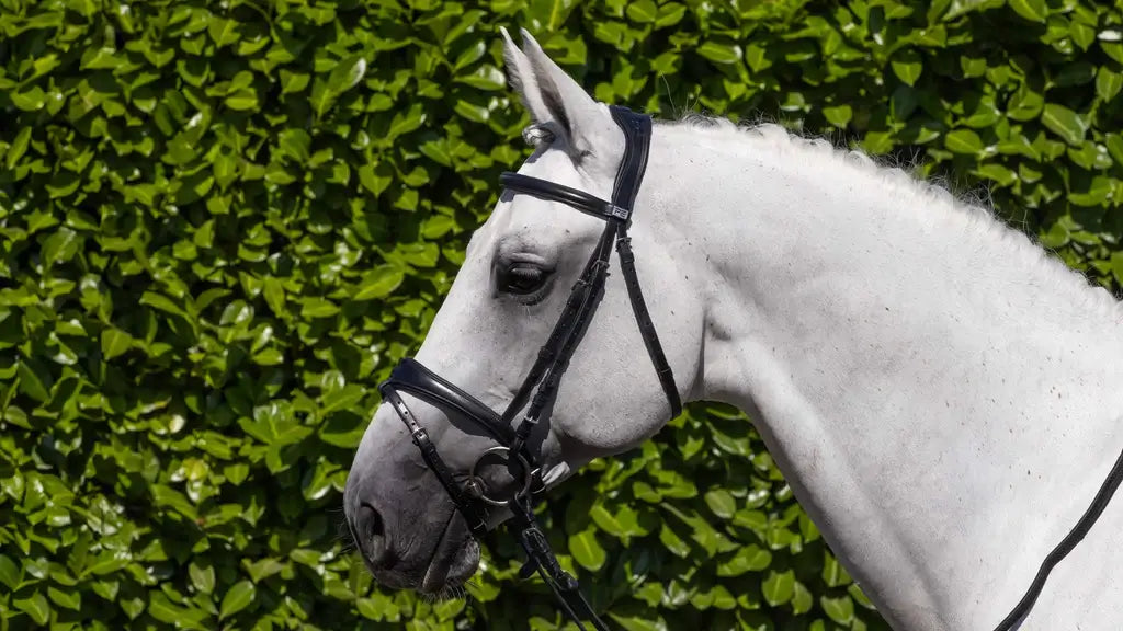 PE Artana Snaffle Bridle