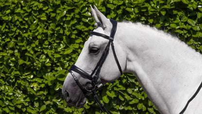 PE Artana Snaffle Bridle