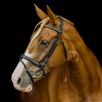 Platinum Flat Padded Hanoverian Bridle