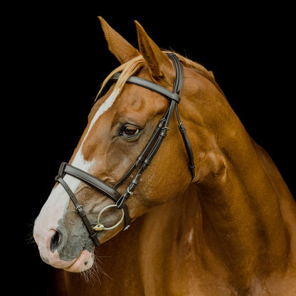 Platinum Flat Padded Hanoverian Bridle