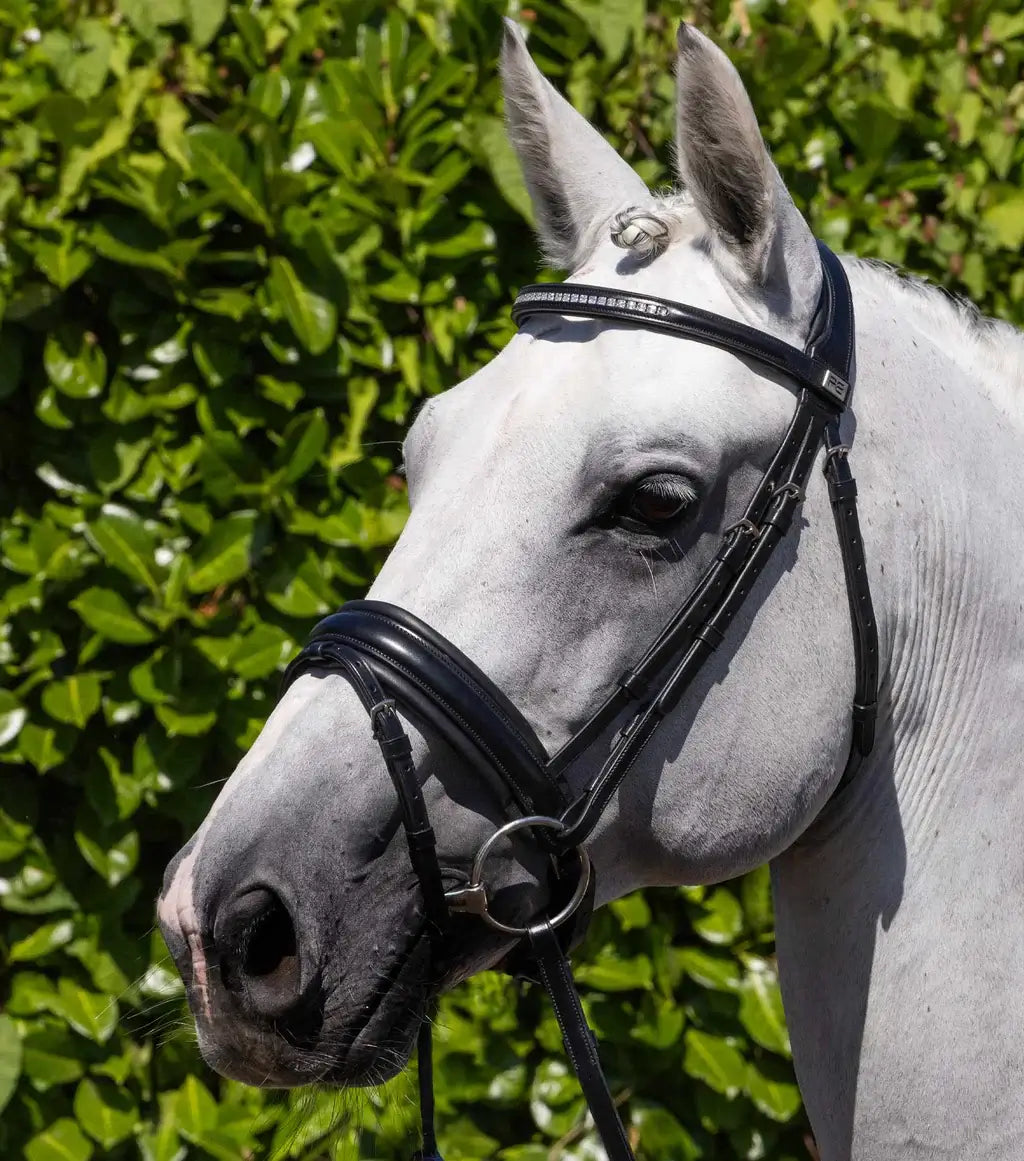 PE Castello Snaffle Bridle