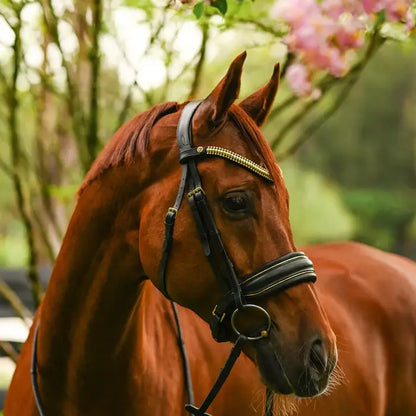 Delta Snaffle Bridle