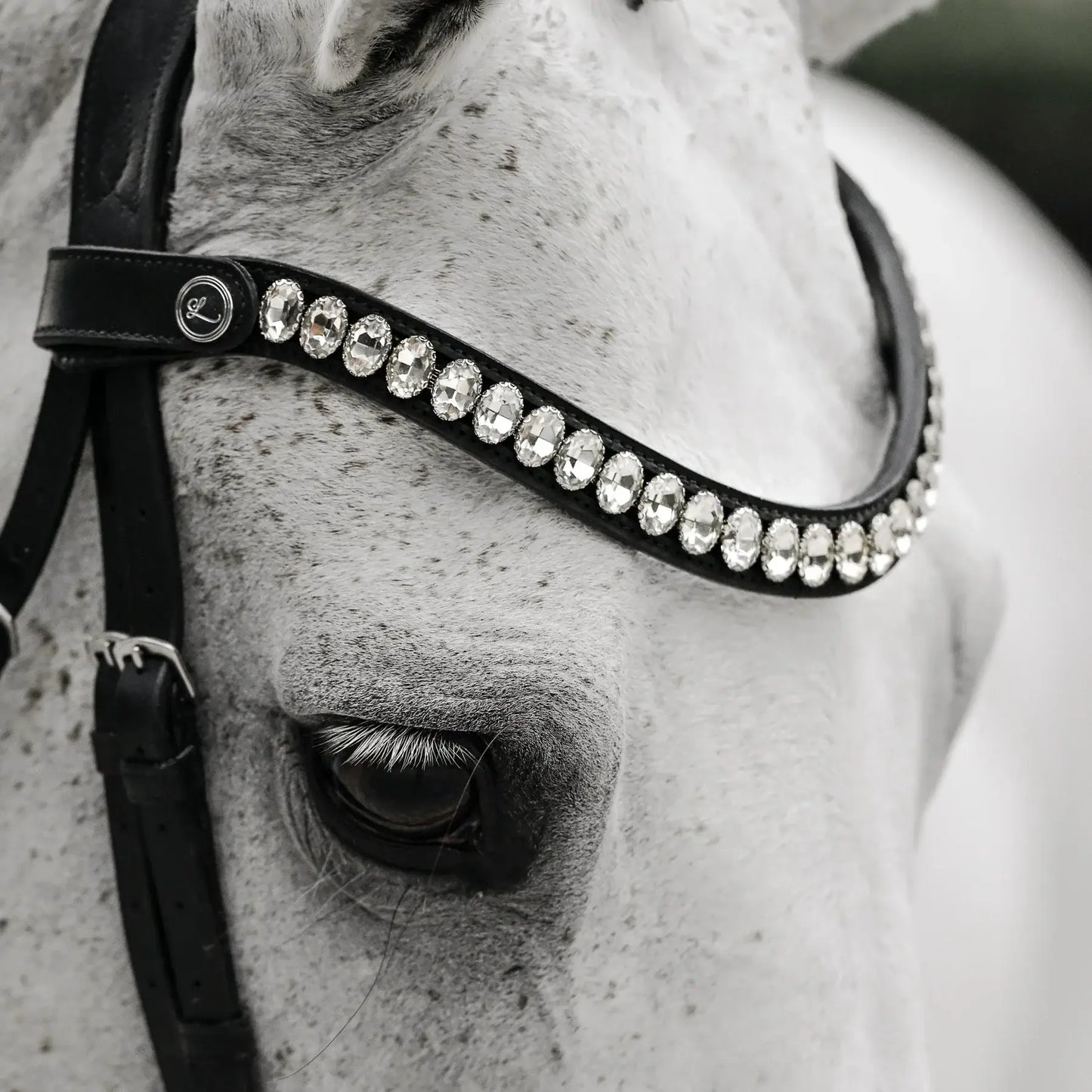 Diva Snaffle Bridle