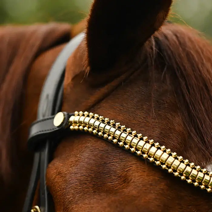 Delta Snaffle Bridle