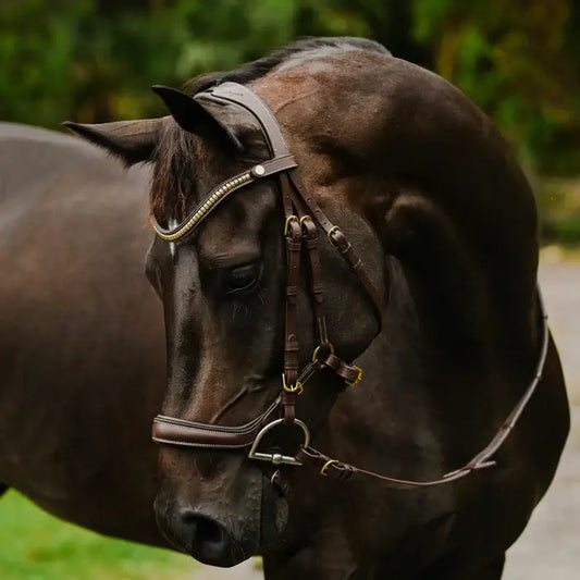 Dallas Snaffle Bridle