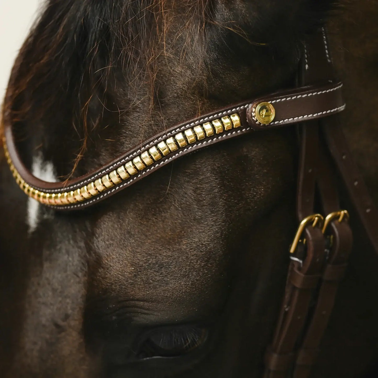 Dallas Snaffle Bridle