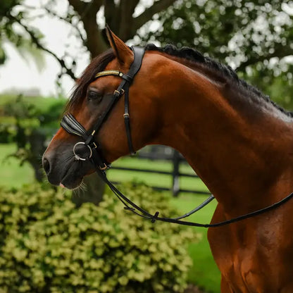 Delta Snaffle Bridle