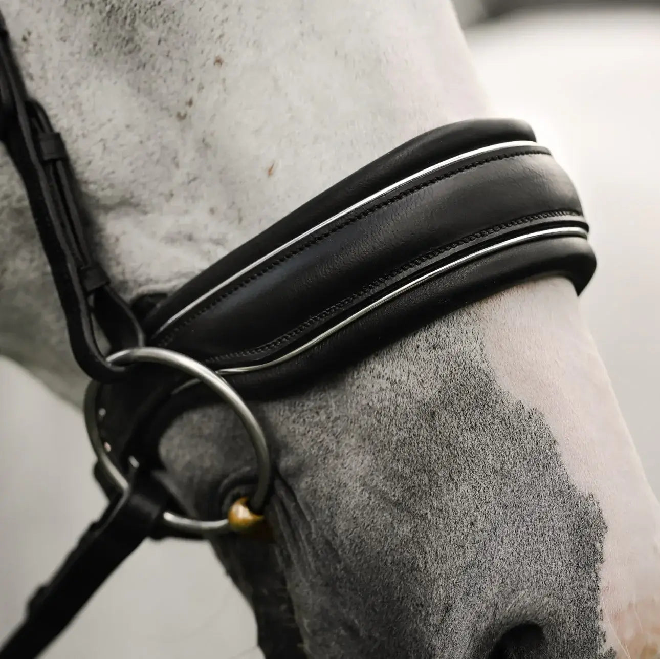 Diva Snaffle Bridle