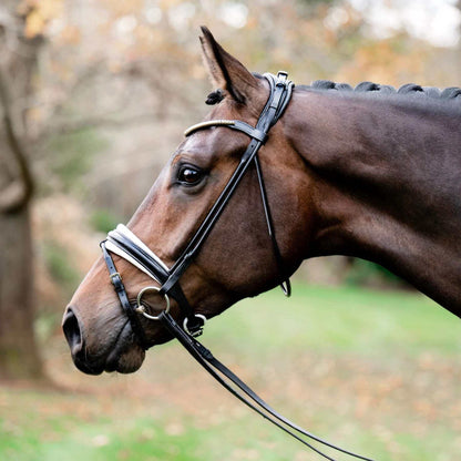 Mercie Rolled White Padded Bridle