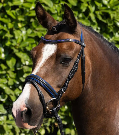 PE Mineo Pony Bridle