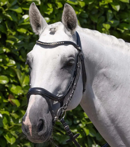 PE Palazzo Snaffle Bridle