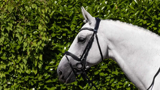 PE Rivere Snaffle Bridle