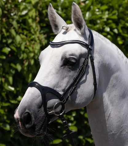 PE San Paolo Snaffle Bridle