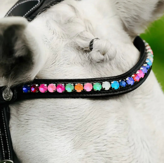 Rainbow Browband