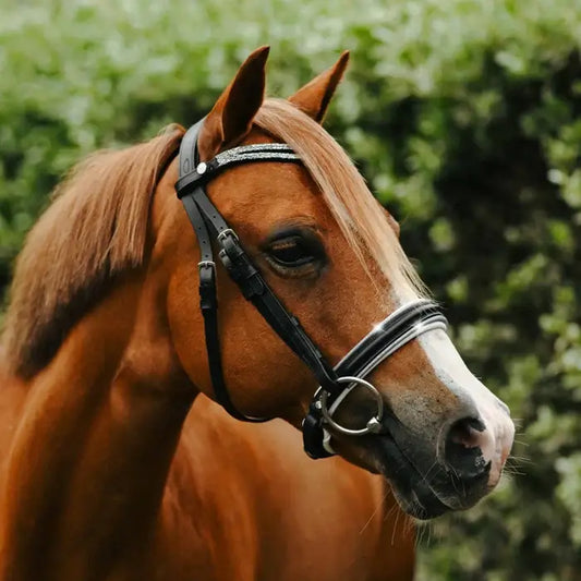 Princess Pony Bridle