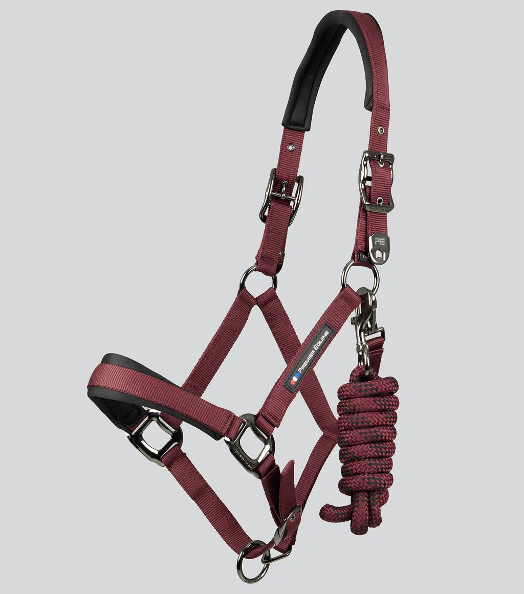 PE Corda Padded Halter