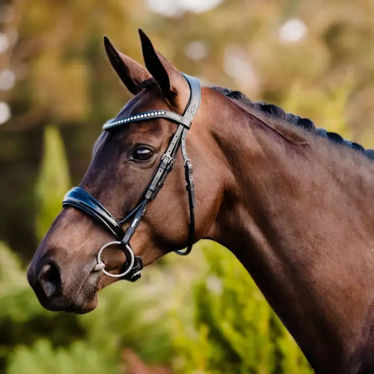 Aurelie Cavesson Rolled Leather Bridle