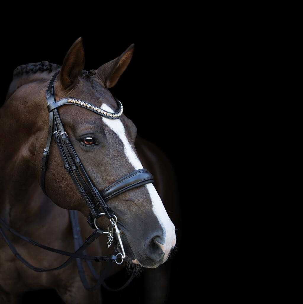 Athens Double Bridle